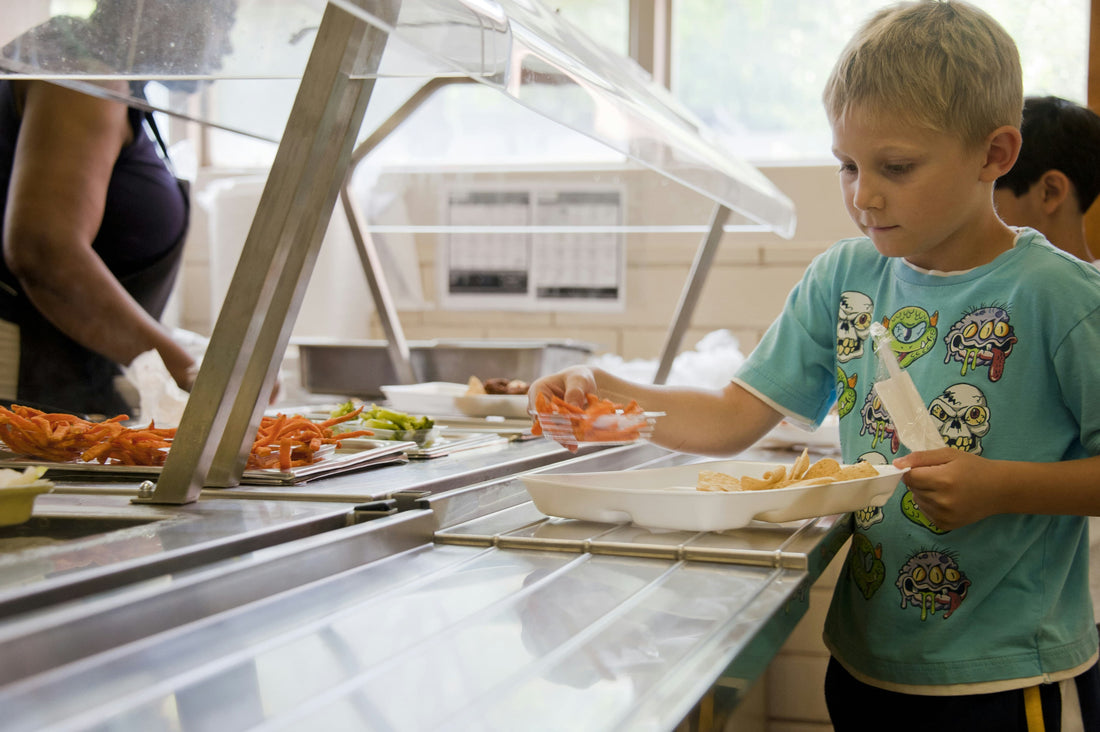 Impact of Switching to Paper Cutlery and Straws in US Schools and Colleges