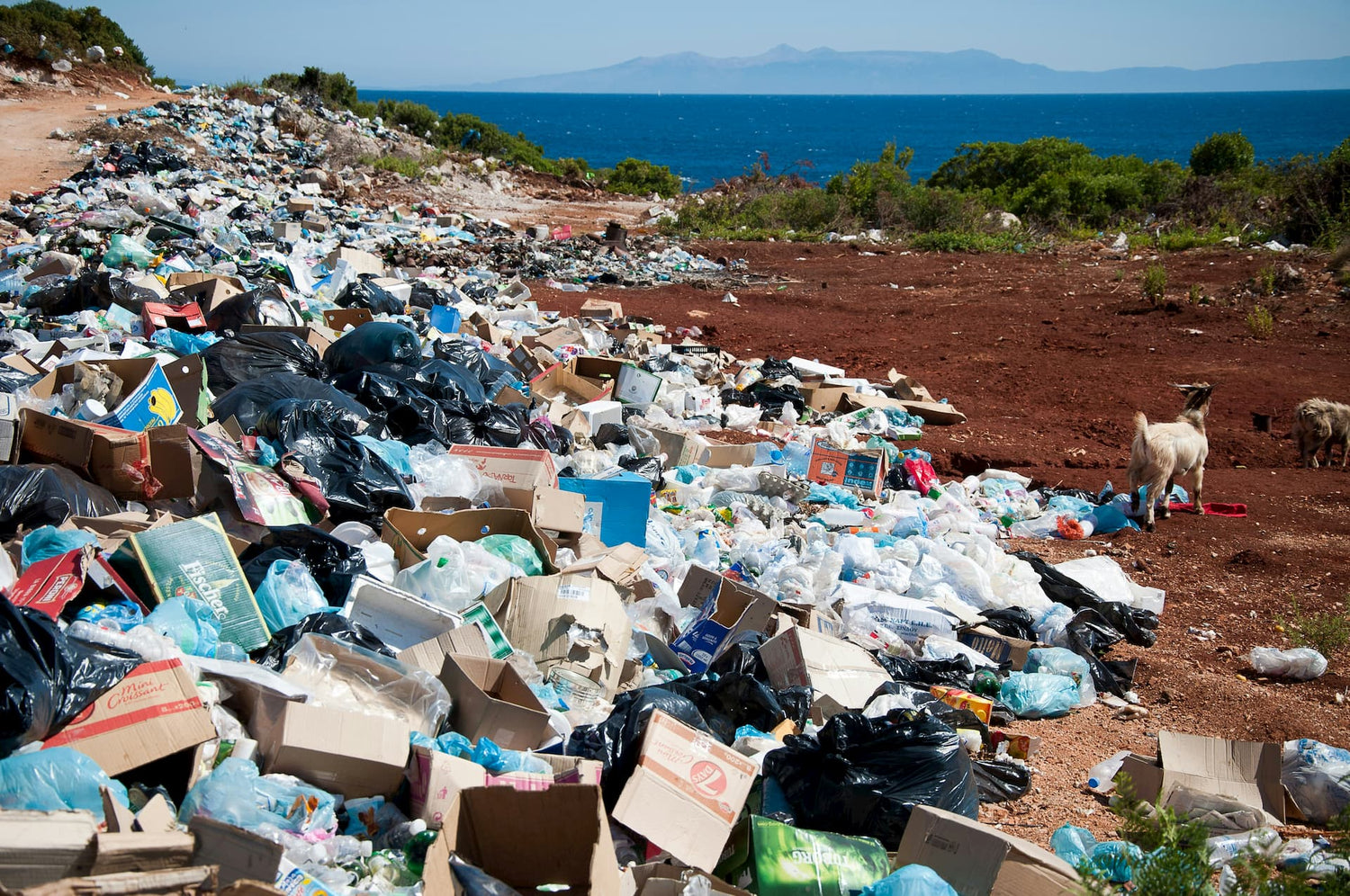 Plastic waste piling up on a island next to the ocean